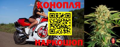 гашик Краснокаменск