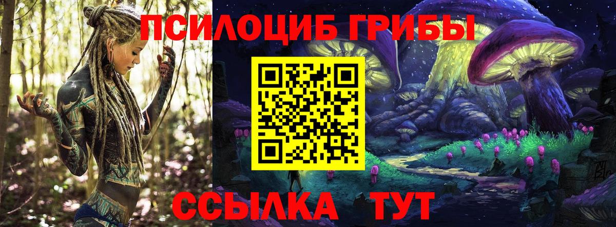 Псилоцибиновые грибы Psilocybine cubensis Когалым