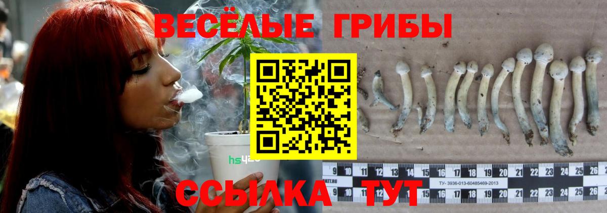 Псилоцибиновые грибы GOLDEN TEACHER  Псилоцибиновые грибы мицелий  Когалым  Вход с VPN 